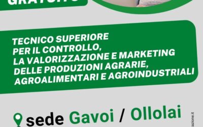 Le aziende dell’agroalimentare cercano figure che abbiano una visione a 360°